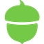 Acorns